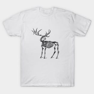 Megaloceros, Ancient Irish Deer T-Shirt